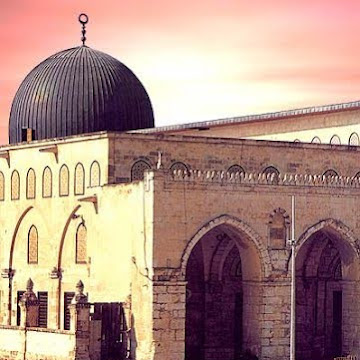 صورة الملف الشخصي لـ sherok-youssef2026