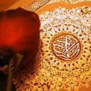 صورة الملف الشخصي لـ بسمة زكريا