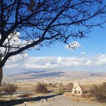 صورة الملف الشخصي لـ أمير علوي