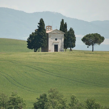 صورة الملف الشخصي لـ muhammed_ahmed