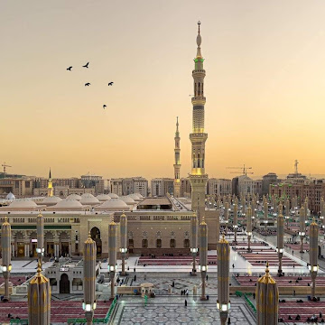 صورة الملف الشخصي لـ محمد صالح طاهر