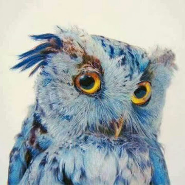 صورة الملف الشخصي لـ وفاء العيسى