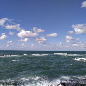 صورة الملف الشخصي لـ ريهام رجب