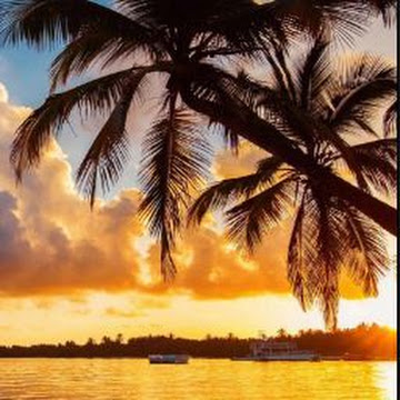 صورة الملف الشخصي لـ Fatma Elroby