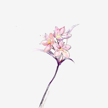 صورة الملف الشخصي لـ فاطمة سليمان