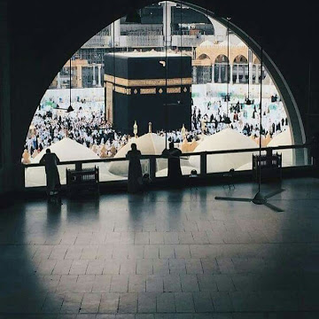 صورة الملف الشخصي لـ farah nasr