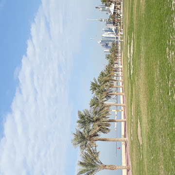 صورة الملف الشخصي لـ Musaad Saidon