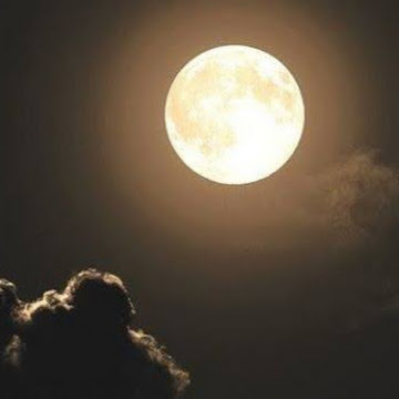 صورة الملف الشخصي لـ Amira Nasef