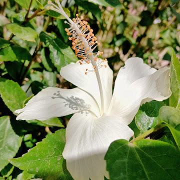 صورة الملف الشخصي لـ إبتسام كريم