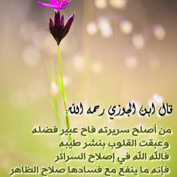 صورة الملف الشخصي لـ ALI ZEDIRI