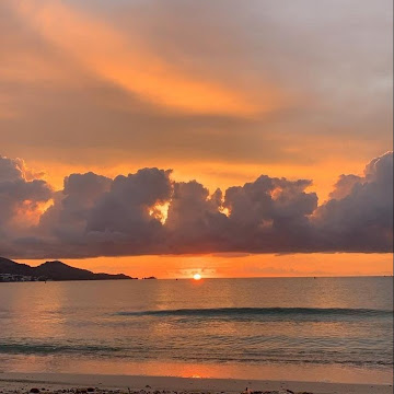 صورة الملف الشخصي لـ محمد الشريف