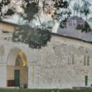 صورة الملف الشخصي لـ Ai_8_sha