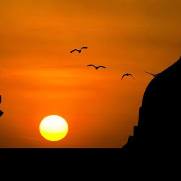 صورة الملف الشخصي لـ farooq