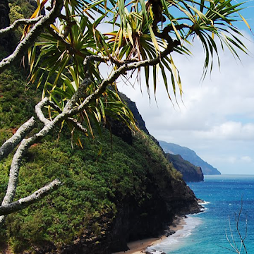 صورة الملف الشخصي لـ Omar Alabdulaziz