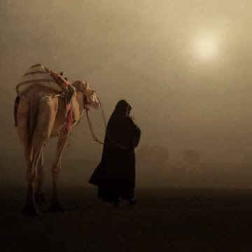 صورة الملف الشخصي لـ مصطفى جودة