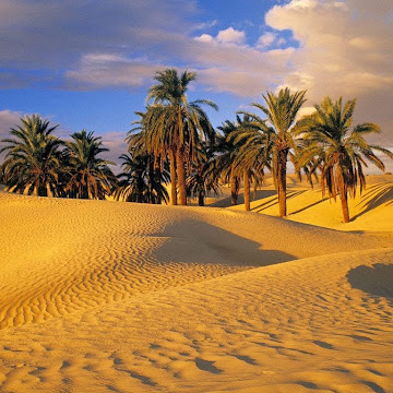 صورة الملف الشخصي لـ ‫أبو عبد الله الفاضلي (راجي رحمة الغفور)‬‎