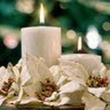 صورة الملف الشخصي لـ نسمات الأسحار