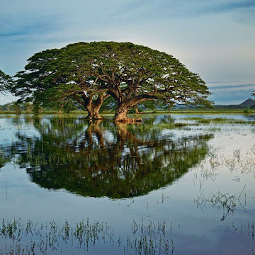 صورة الملف الشخصي لـ Hassan Munawwar