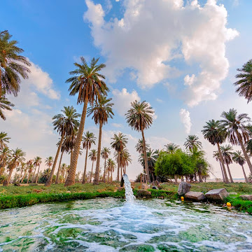 صورة الملف الشخصي لـ king