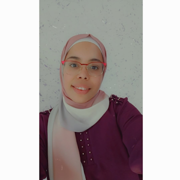 صورة الملف الشخصي لـ Alaa Alhamawe