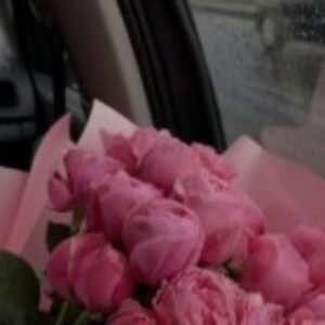 صورة الملف الشخصي لـ saraalzahranixx